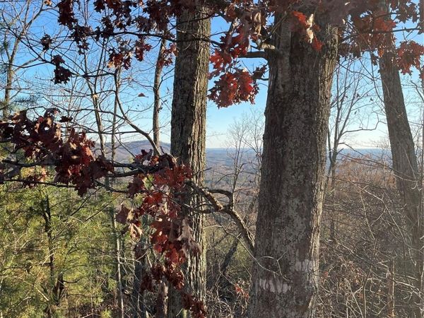 0 Brighton Drive, Bostic, NC 28018