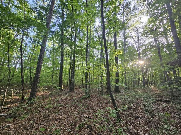 3 Savage Highland Drive, Coalmont, TN 37313