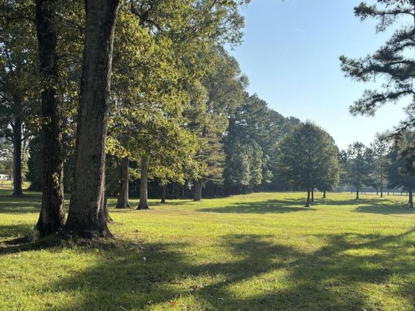 399 Athus Melder , Forest Hill, LA 71430