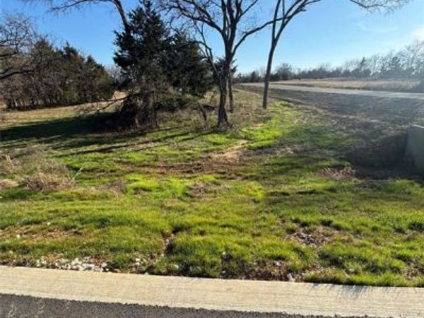 Lot 22 Medallion Club Street, Gordonville, TX 76245