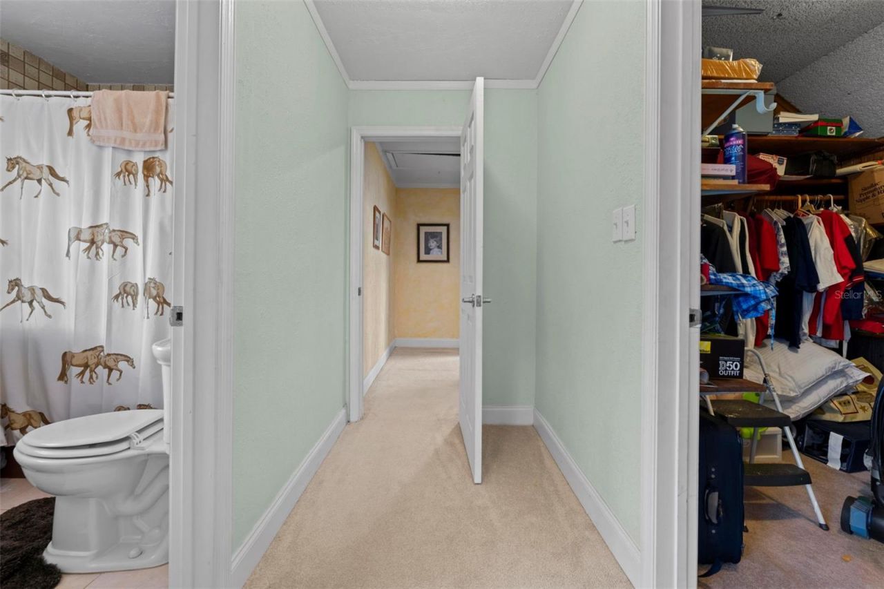 5478 Glorious Trail, Brooksville, FL 34602 Photo