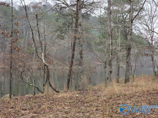 94 Caney Cove Road, Phil Campbell, AL 35581