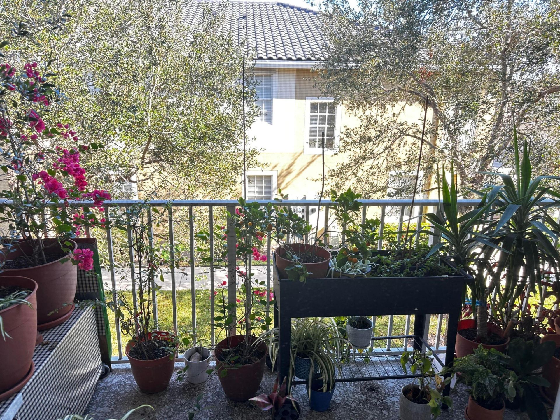 3031 SE Lexington Lakes Drive, Unit 204, Stuart, FL 34994 Photo