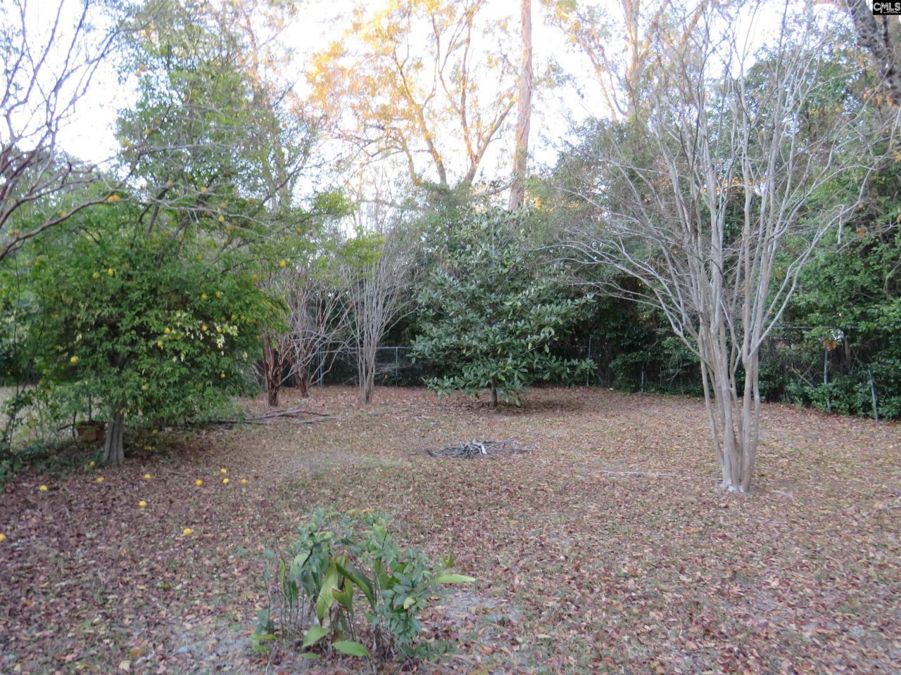 81 Radcliff Drive  Photo 43