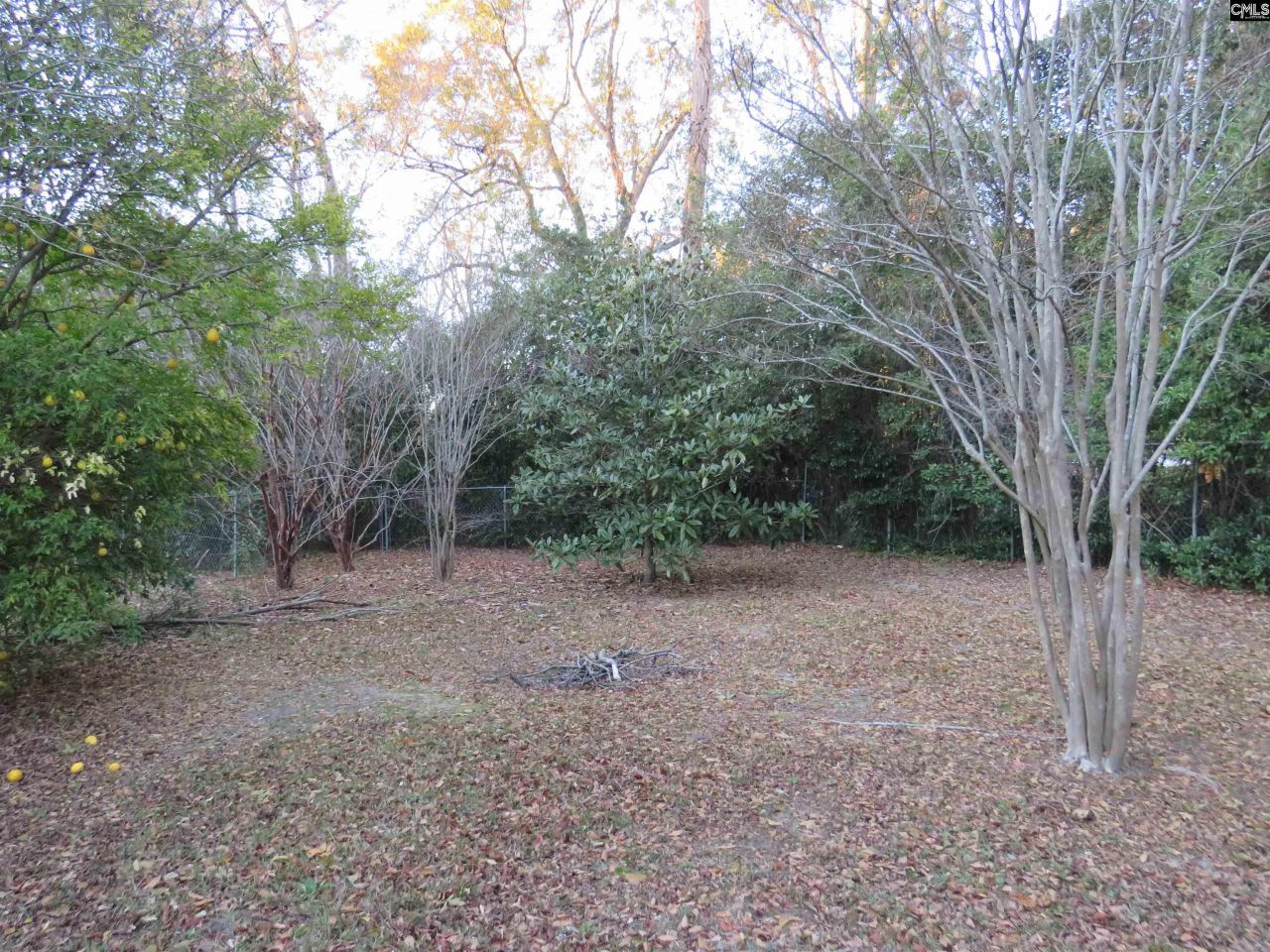 81 Radcliff Drive  Photo 44