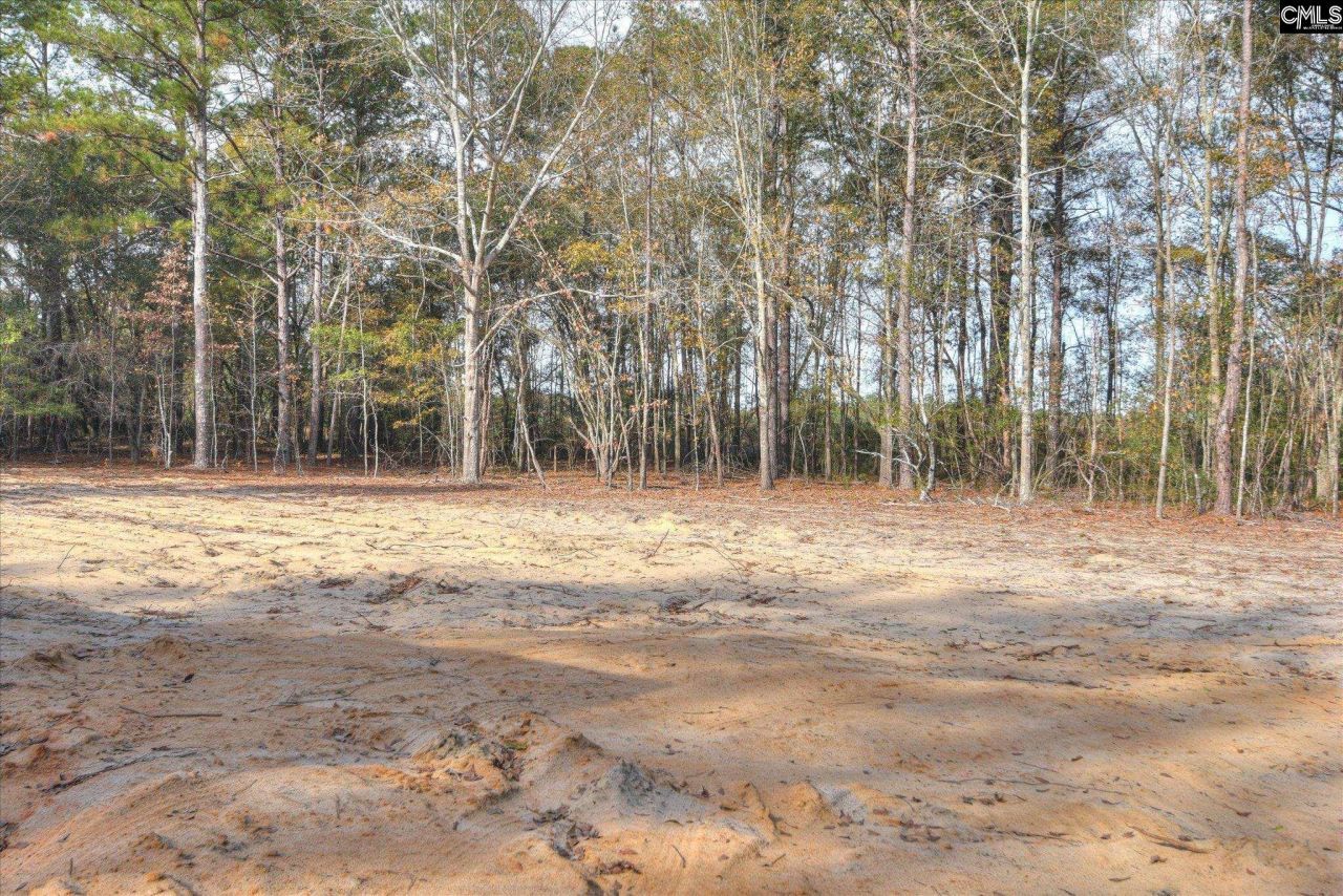 641 Union Church Lane Photo 28