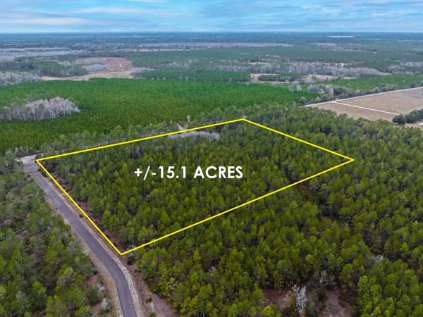 TBD NE COUNTY ROAD 1469, Other, FL 32631