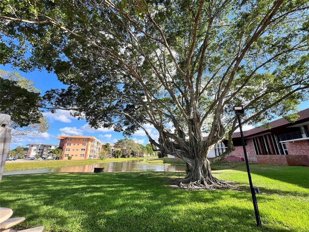 2800 NW 47th Terrace, Unit 106b, Lauderdale Lakes, FL 33313 Photo