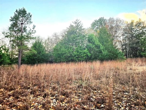 Lot 401 Mallard Way, Larue, TX 75770