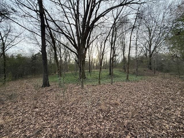 261 Ac. Macon Rd, Unicorp/eads, TN 38028 Main Photo