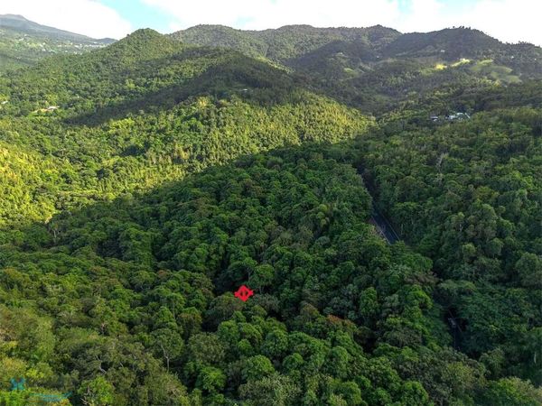 0 BO CEDROS , CARR 185 KM.HM 014 3, Carolina, PR 00983