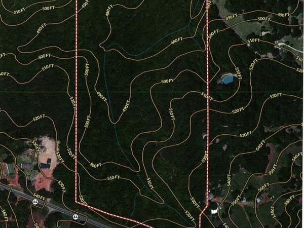 44.2 Acres State Hwy 64, Ben Wheeler, TX 75754