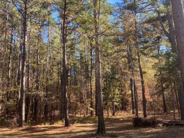 44.2 Acres State Hwy 64, Ben Wheeler, TX 75754