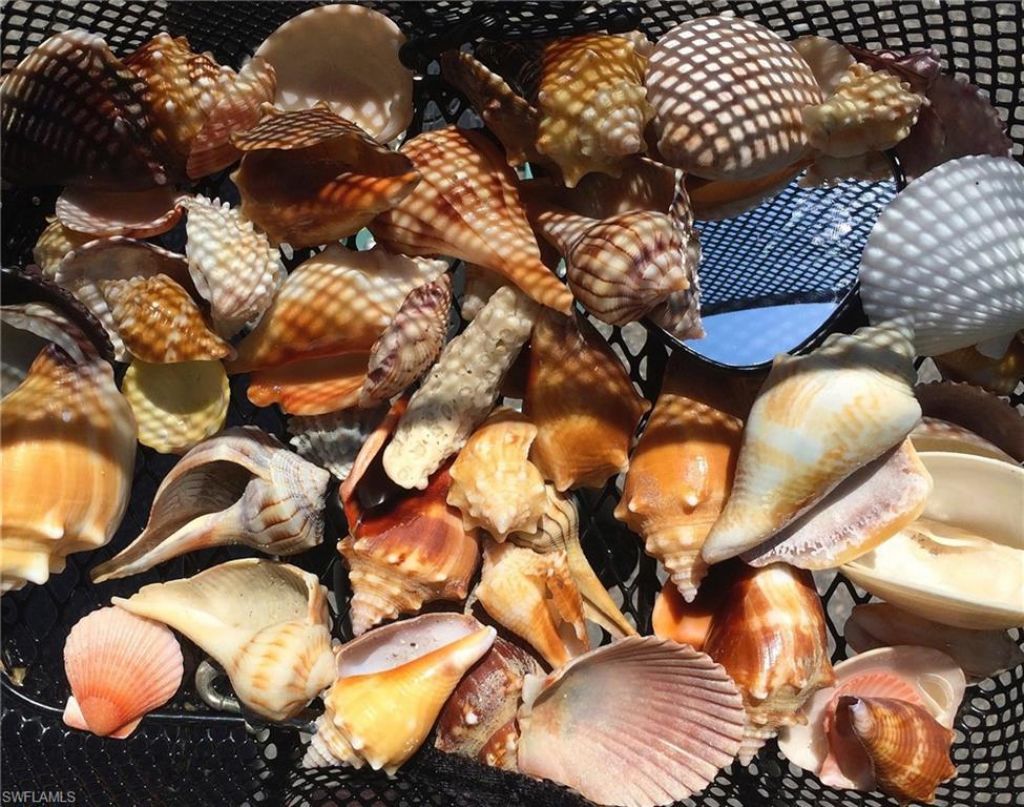 400 Rabbit Rd, Sanibel, FL 33957 Photo