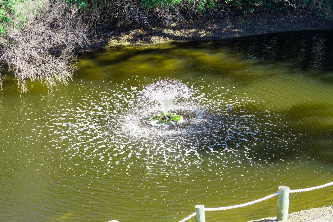 2262 Folly Road Photo 59