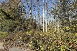 00 Five Chop Road photo 4