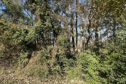 00 Five Chop Road photo 4