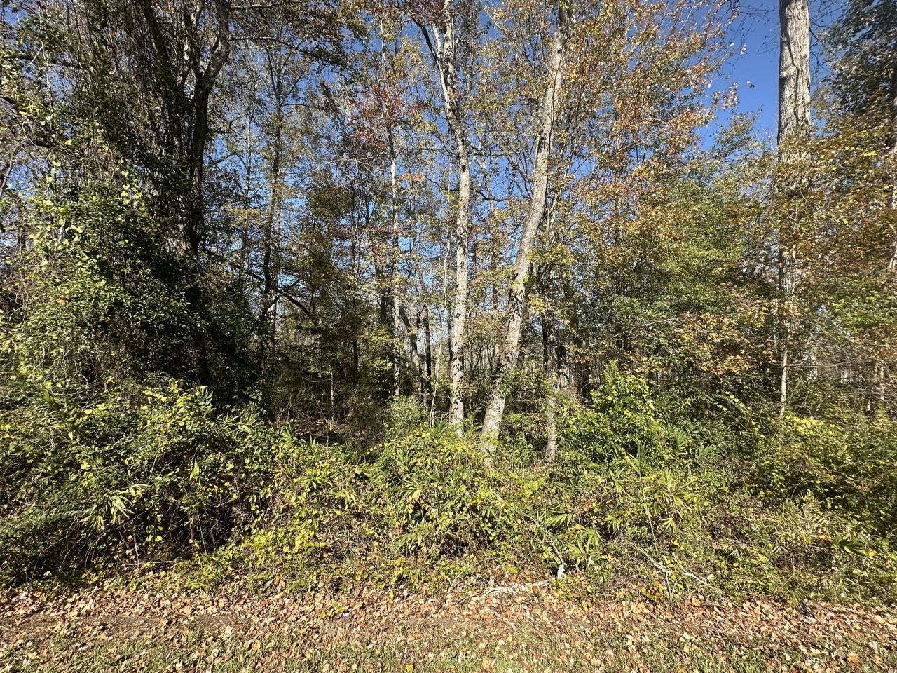 00 Five Chop Road Photo 4