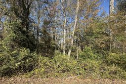 00 Five Chop Road photo 4