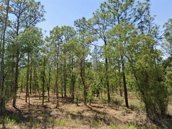 00 NW NARCISSUS ROAD, DUNNELLON, FL 34431