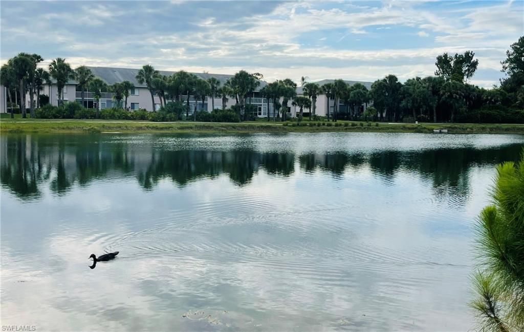 153 Gabriel Cir, Unit 3003, Naples, FL 34104 Photo