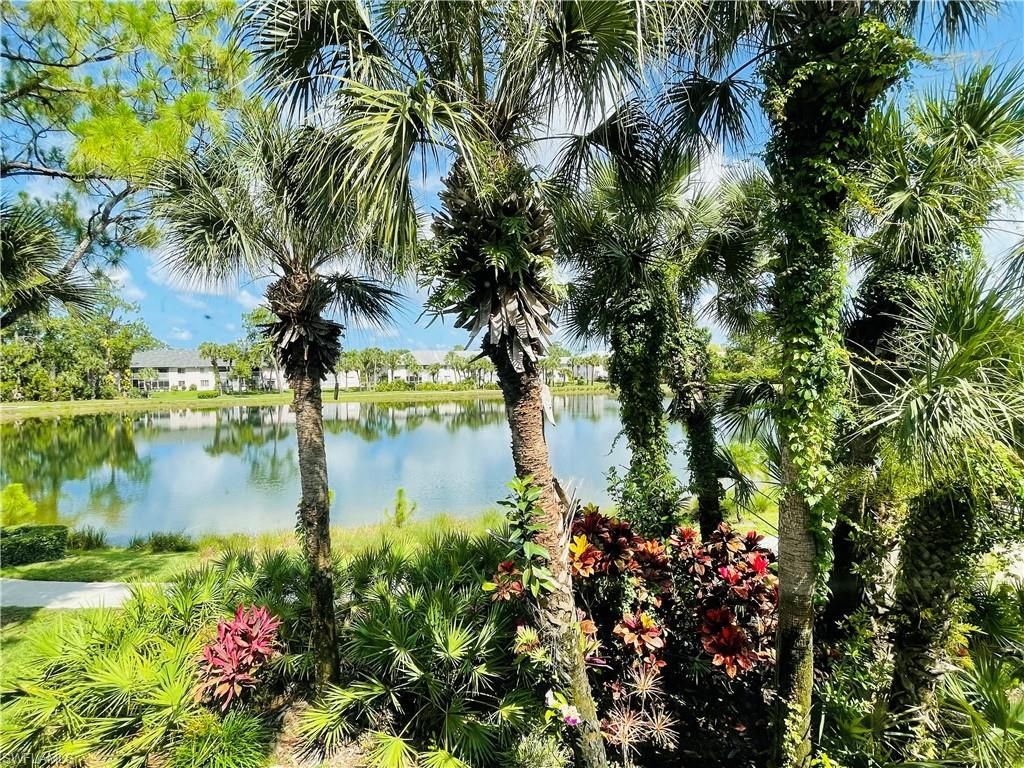 153 Gabriel Cir, Unit 3003, Naples, FL 34104 Photo