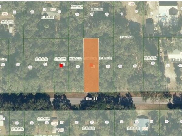 1024 ELM Street, Welaka, FL 32193