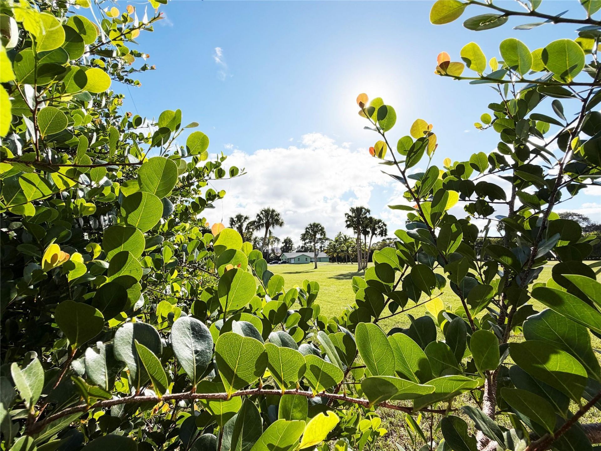 4656 Lillian Avenue, Palm Beach Gardens, FL 33418 Photo