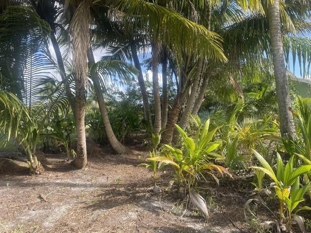 4656 Lillian Avenue, Palm Beach Gardens, FL 33418 Photo