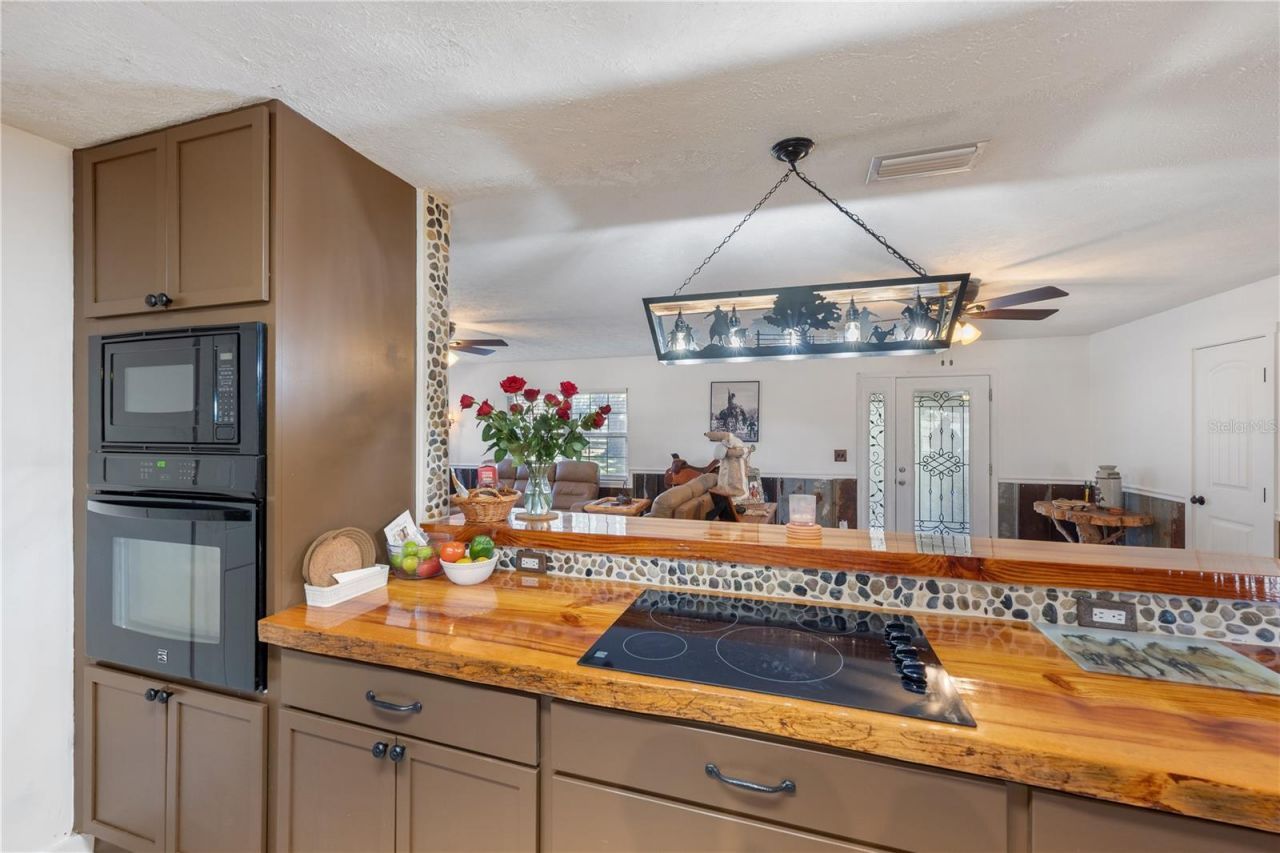 17885 NE 2nd Place, Williston, FL 32696 Photo