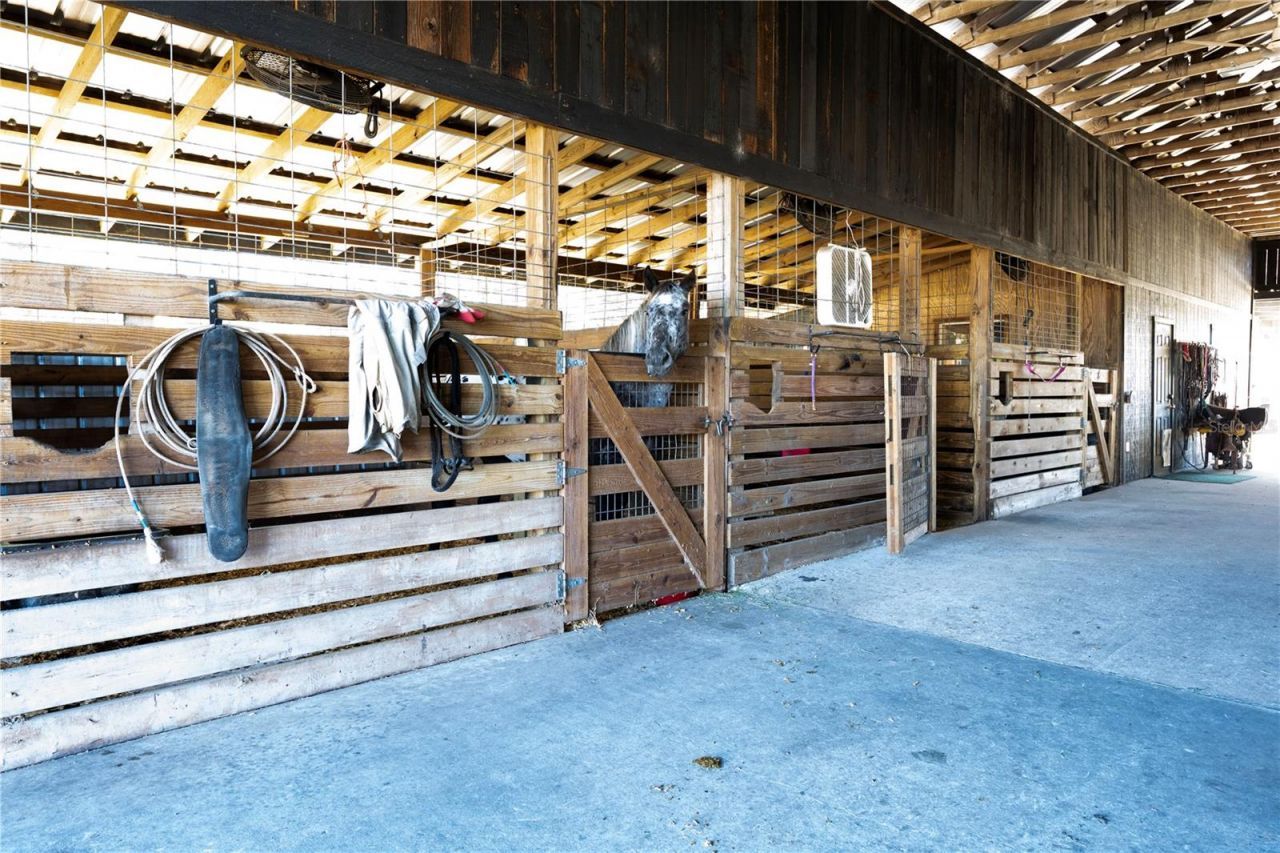 17885 NE 2nd Place, Williston, FL 32696 Photo
