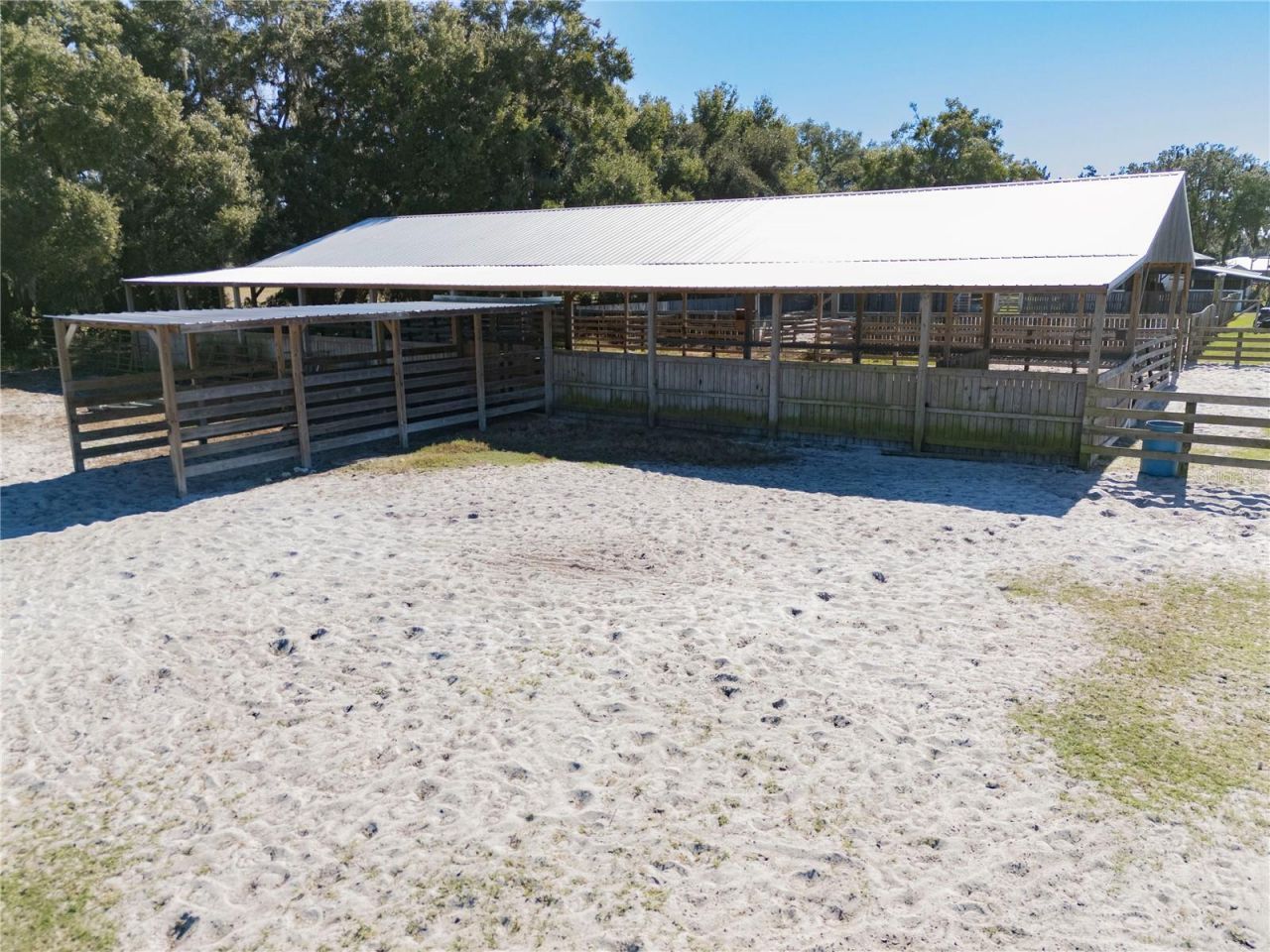 17885 NE 2nd Place, Williston, FL 32696 Photo