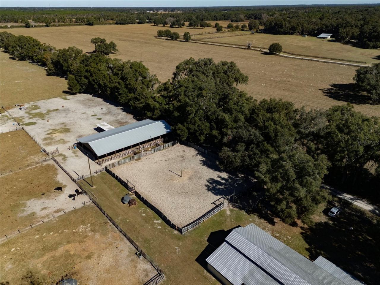 17885 NE 2nd Place, Williston, FL 32696 Photo
