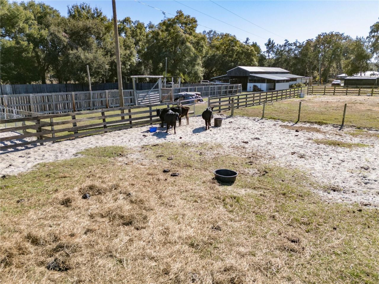 17885 NE 2nd Place, Williston, FL 32696 Photo