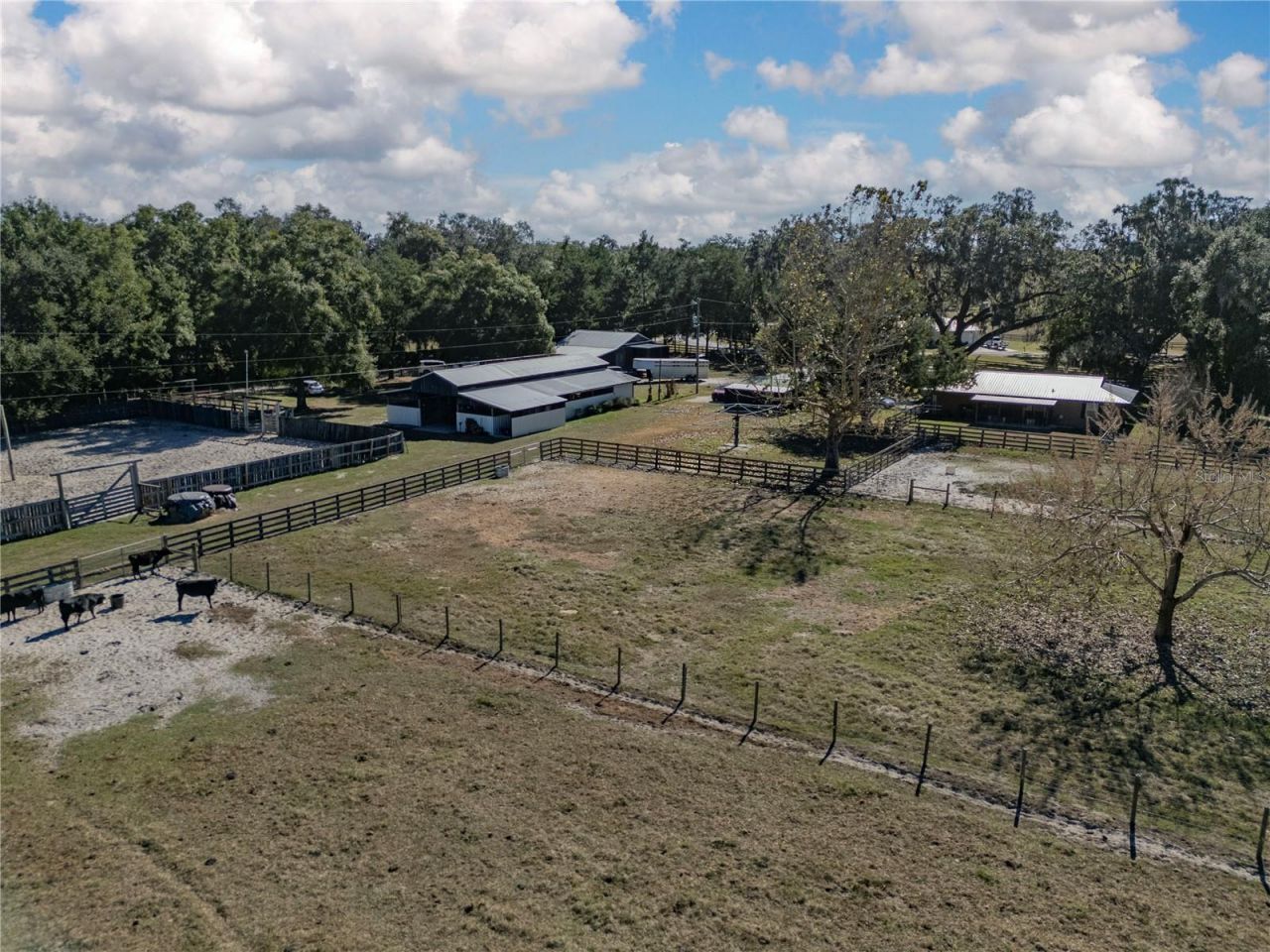 17885 NE 2nd Place, Williston, FL 32696 Photo