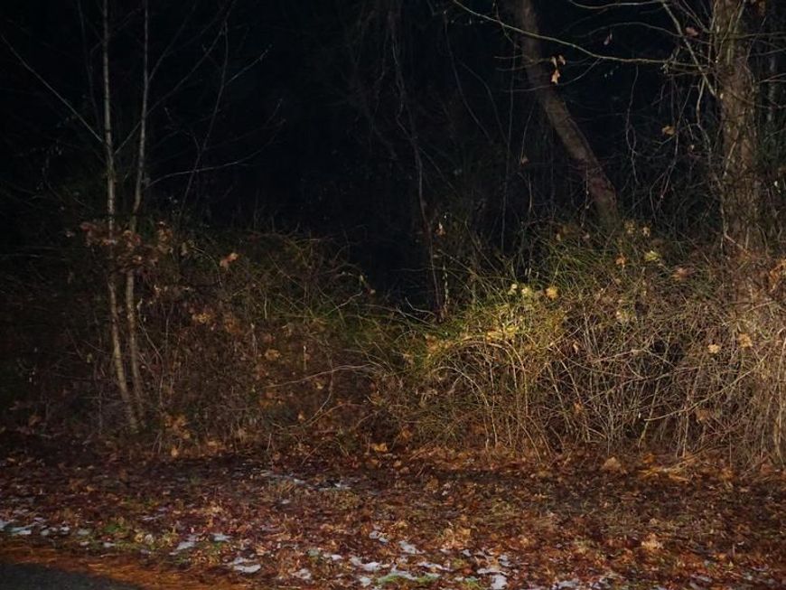 337 Dogwood Road, Millersville, MD 21108 Main Photo