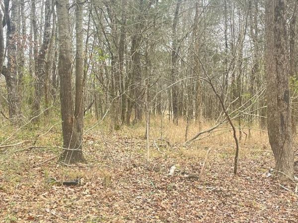 937 Matthews Corner Rd., Byhalia, MS 38611