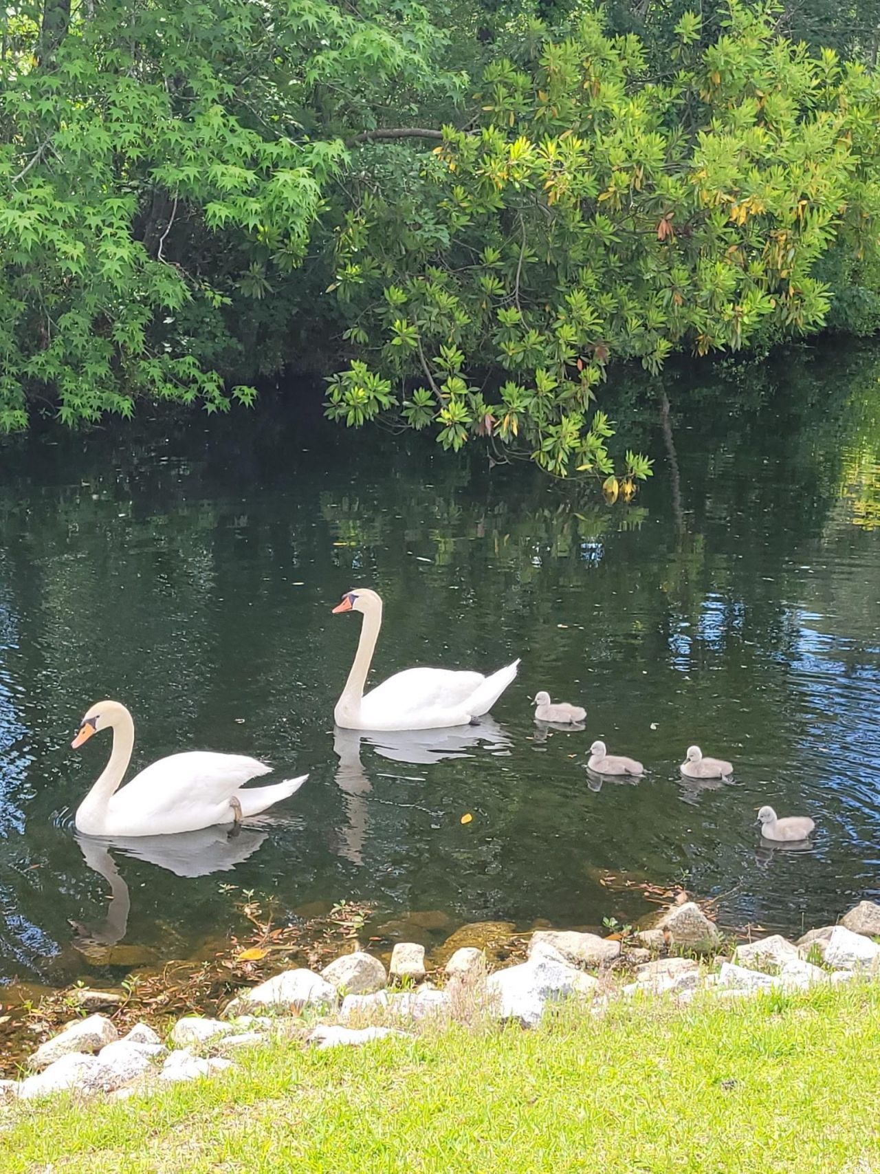 8875 Grove Park Dr. Photo 14