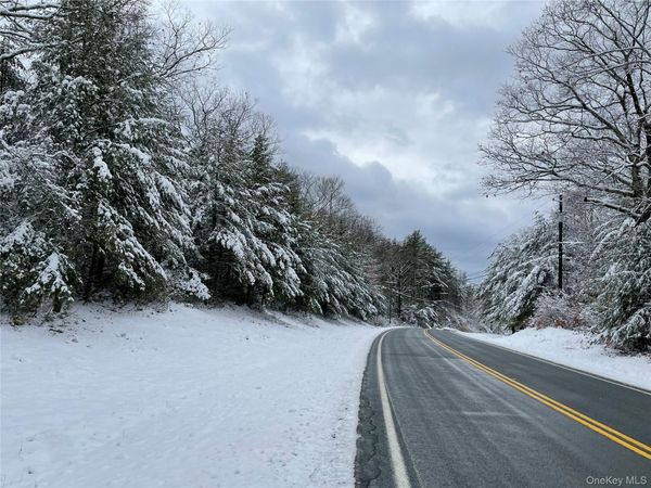 1315 Sackett Lake Rd, Forestburgh, NY 12777