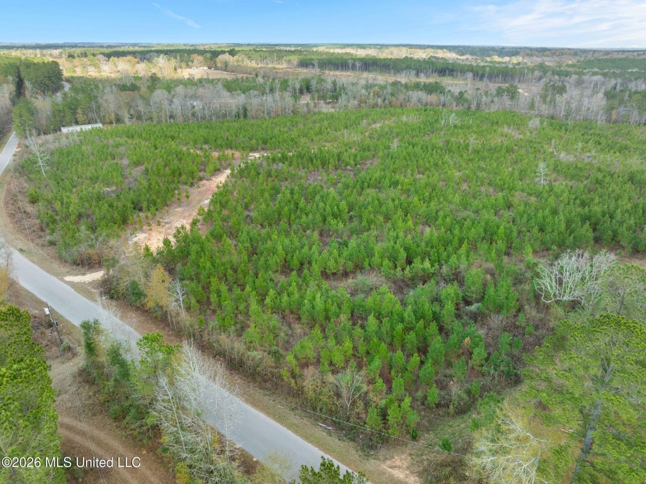 83.50 Acre Carter Guthrie Road, Moselle, MS 39459 Main Photo