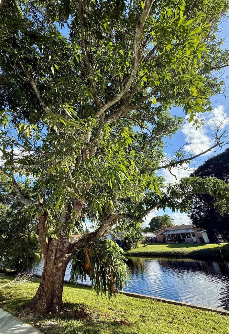 5030 NW 42nd St, Lauderdale Lakes, FL 33319 Photo