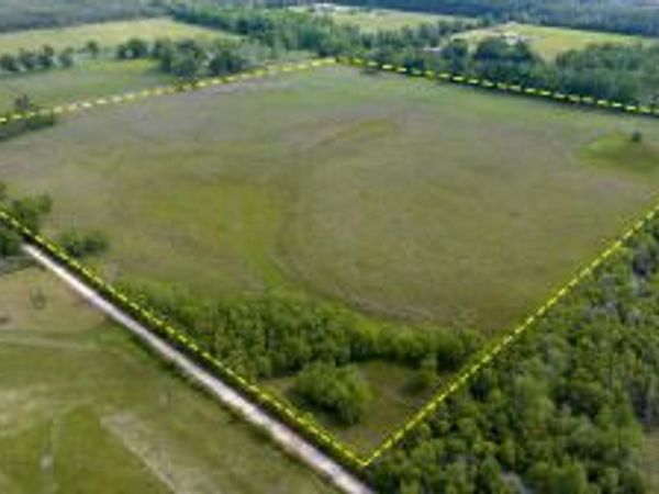 TBD NEALE OILFIELD ROAD, DeRidder, LA 70634