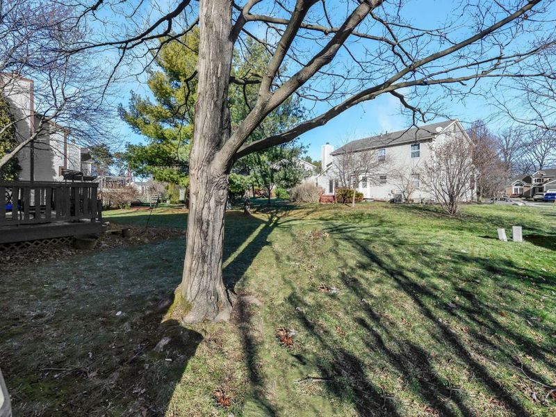 7456 Mapleleaf Court, Columbus, OH 43235 Photo 34