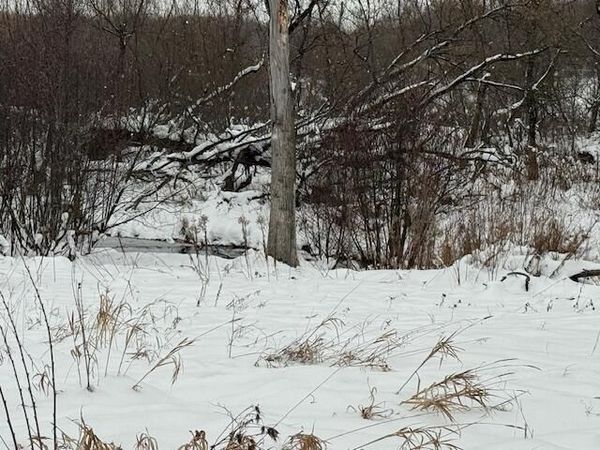 Apache Pass, Reed City, MI 49677