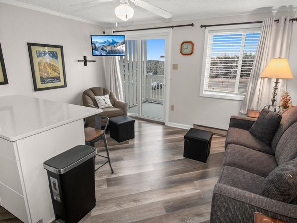 309 Mountain Lodge, Snowshoe, WV 26209