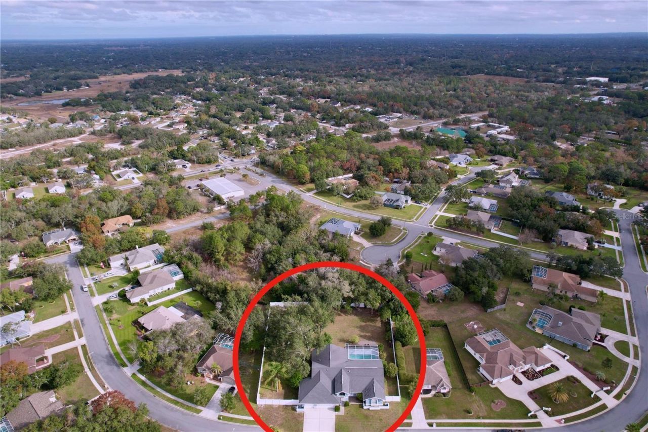 18812 Bascomb Lane, Hudson, FL 34667 Photo
