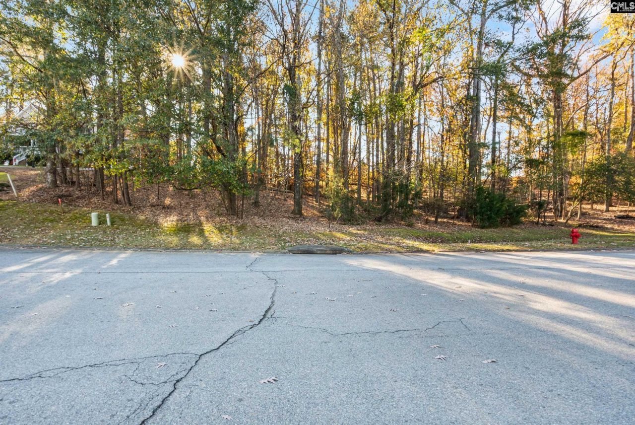 126 Lake Summit Drive Photo 11