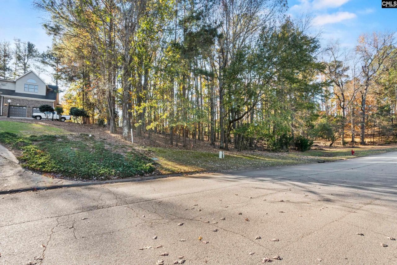 126 Lake Summit Drive Photo 12