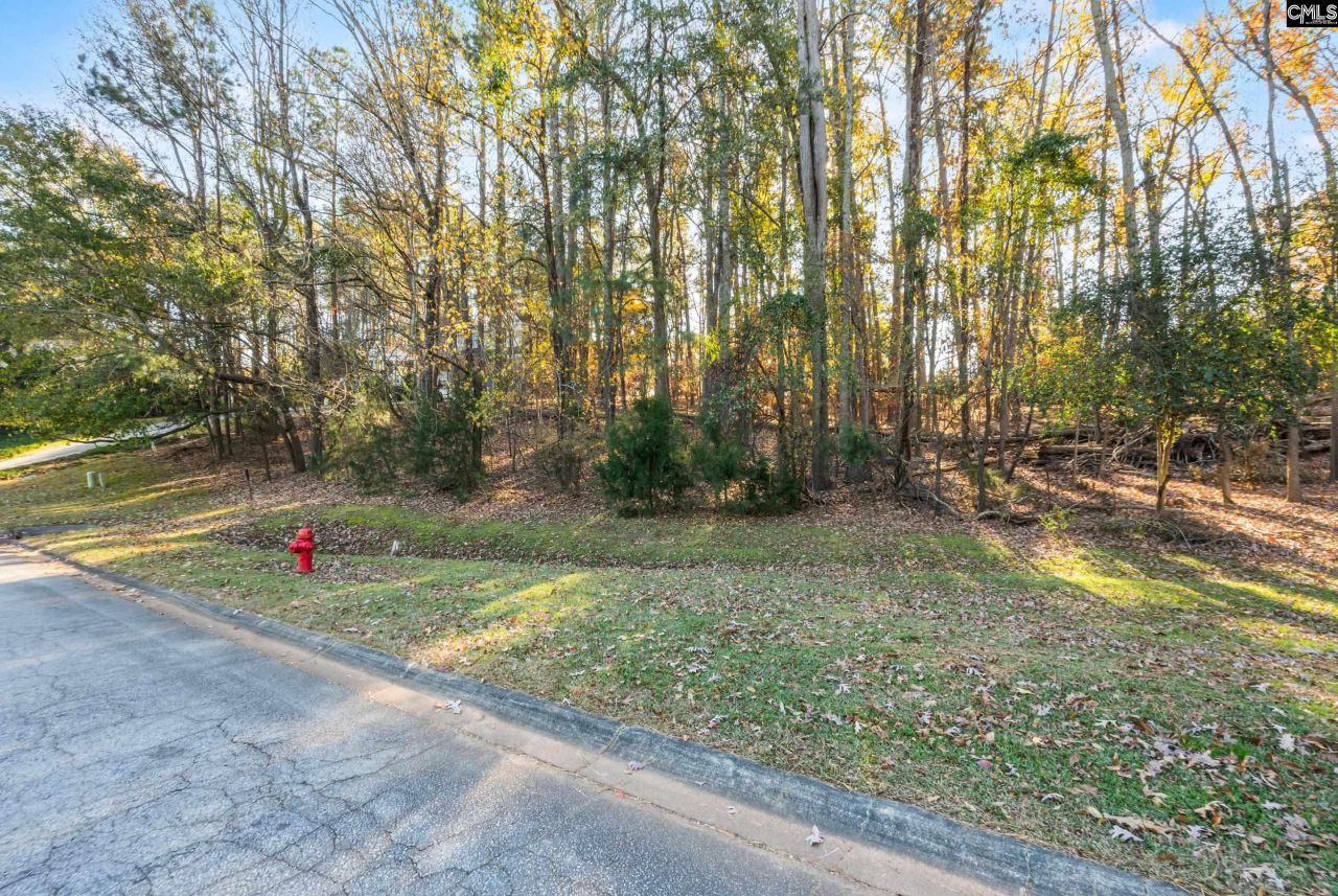 126 Lake Summit Drive Photo 13