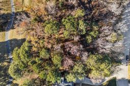 126 Lake Summit Drive photo 4